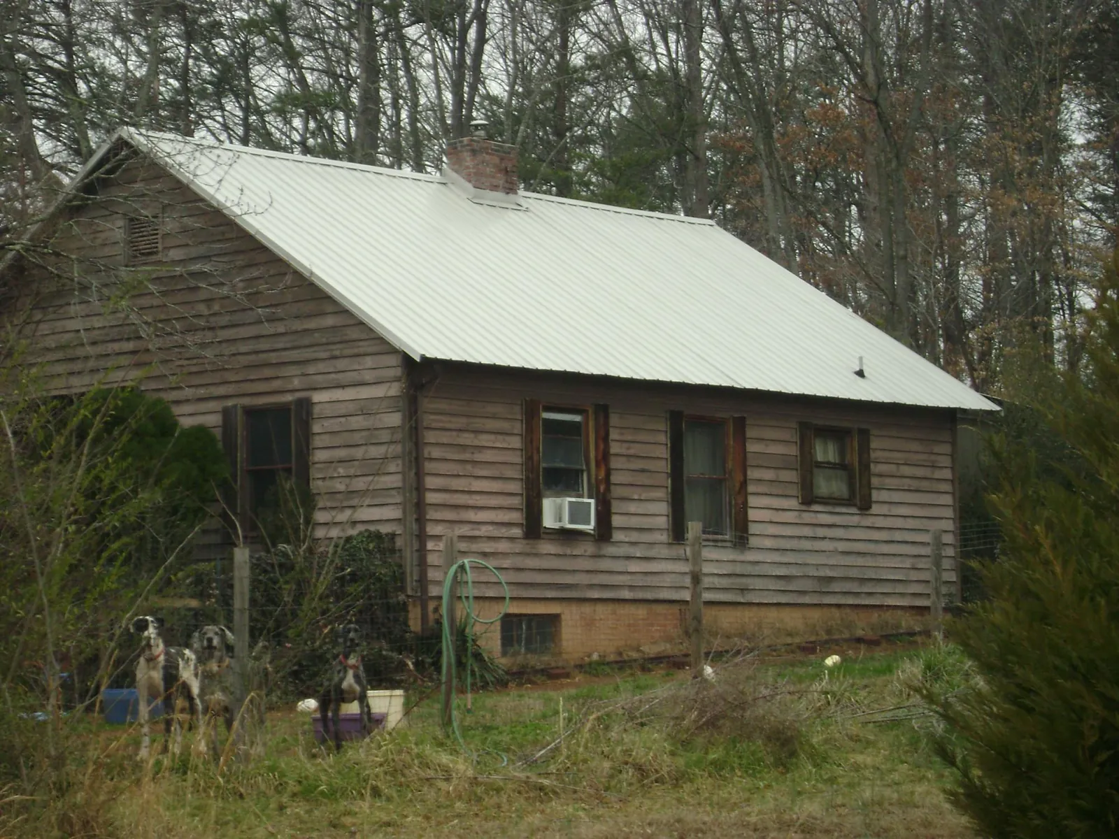 White metal roof on an old wood sided farmhouse, from a Asphalt Shingle Roof Repair job in New Lexington